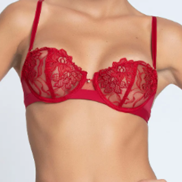 Lise Charmel Vertical Seam Demi Cup