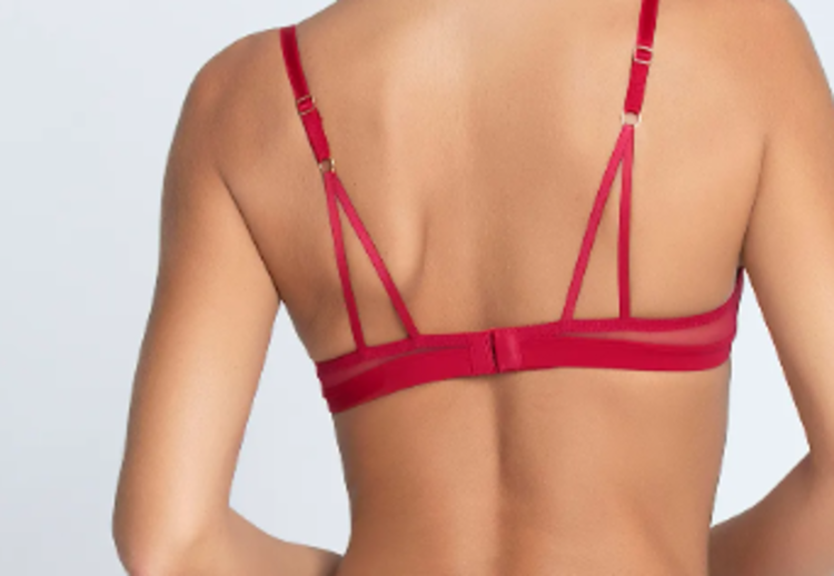 Lise Charmel Vertical Seam Demi Cup