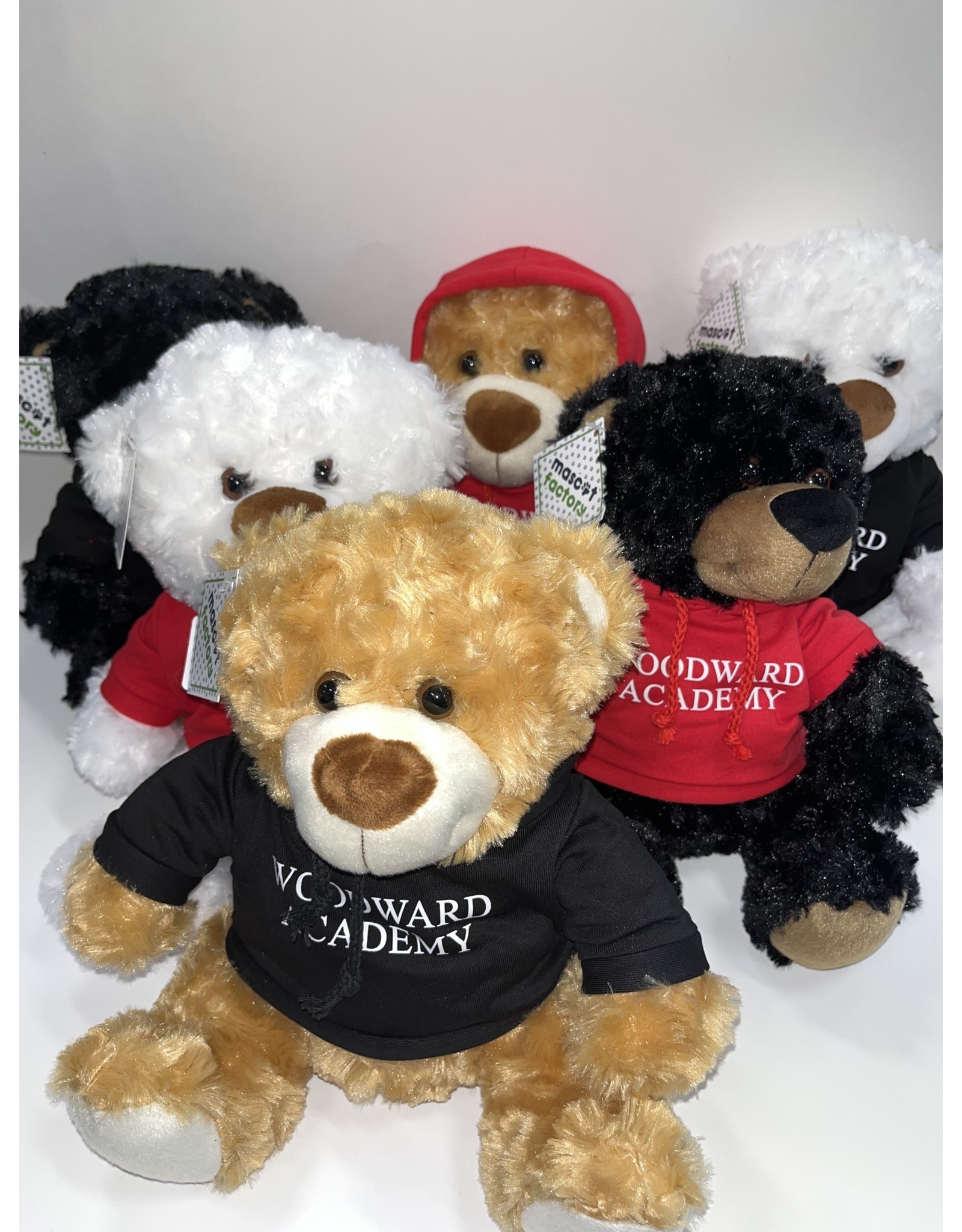 Mascot Factory Plush FLBB Bear