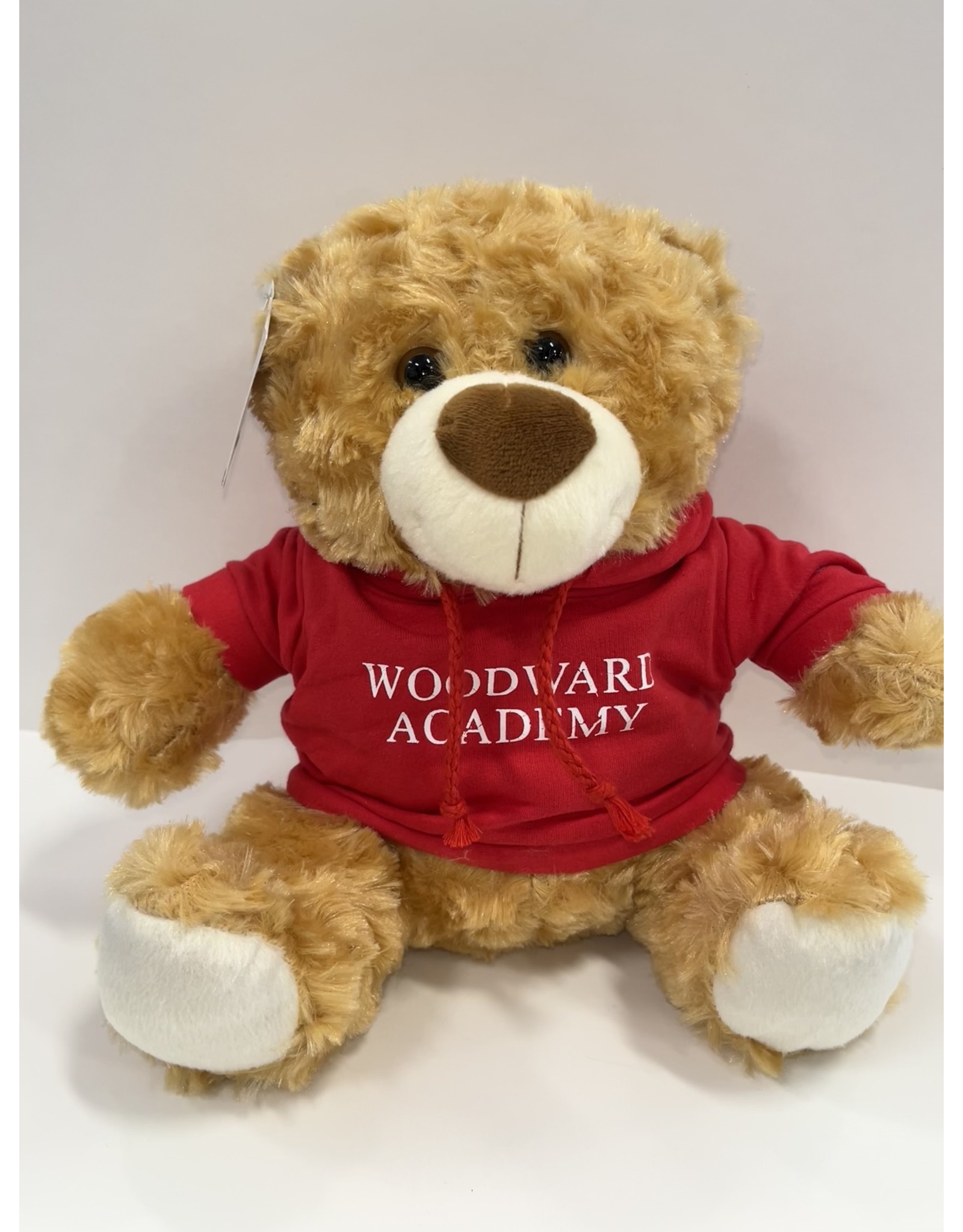 Mascot Factory Plush FLBB Bear