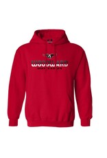 CI Sport SALE Hoodie Aquila