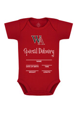 Creative Knitwear Baby Onesie- Special Delivery