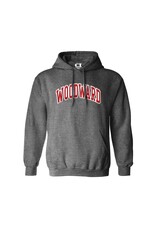 CI Sport Hoodie Dapp Original