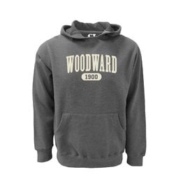 CI Sport Hoodie Branch Heritage