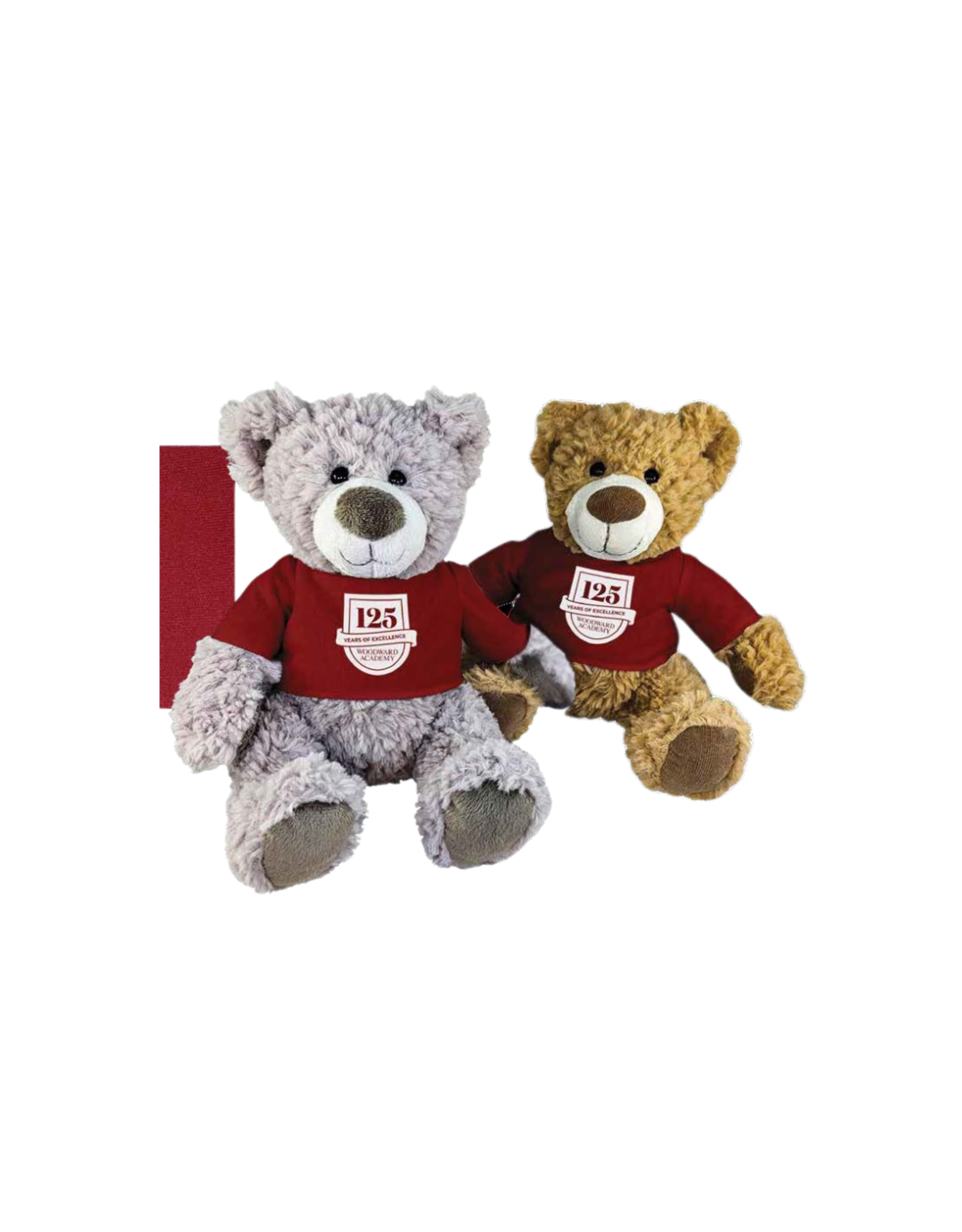 Mascot Factory 125th Plush Bear