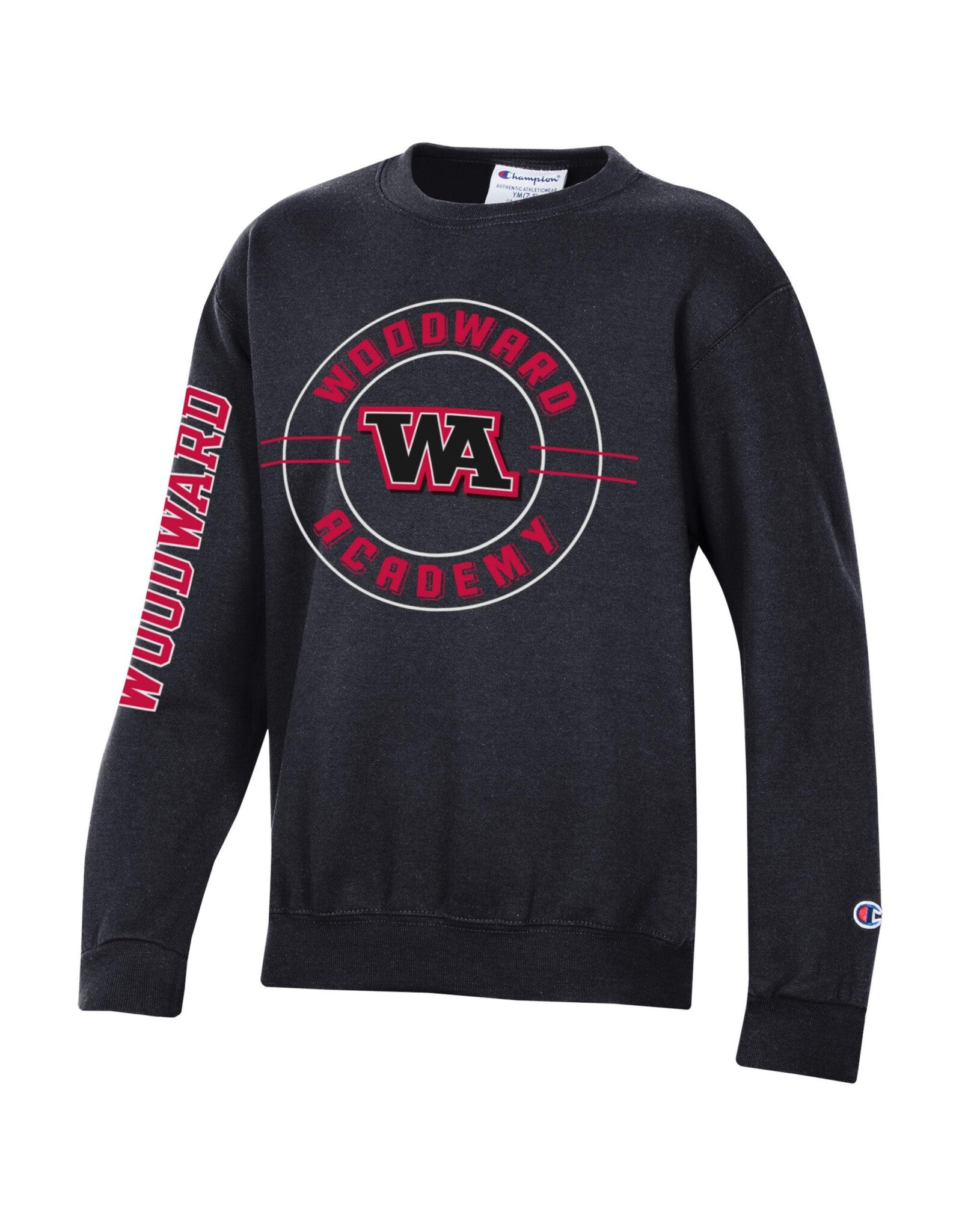 Champion Youth Sweatshirt WA Connect