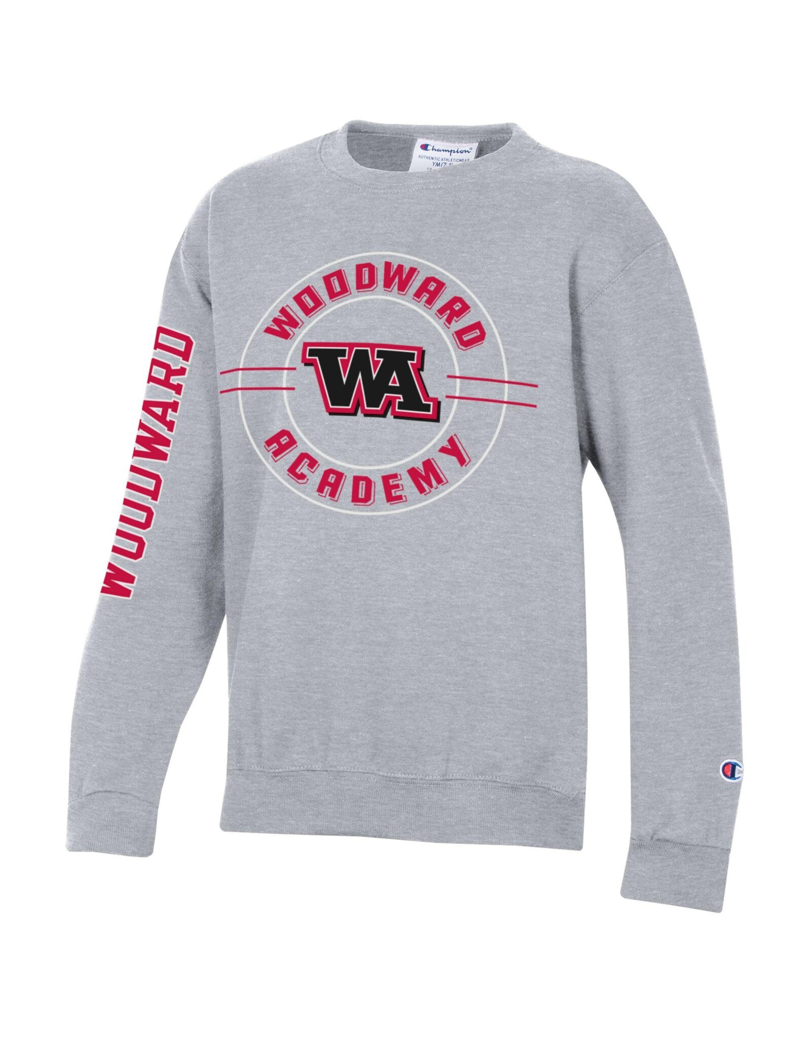 Champion Youth Sweatshirt WA Connect