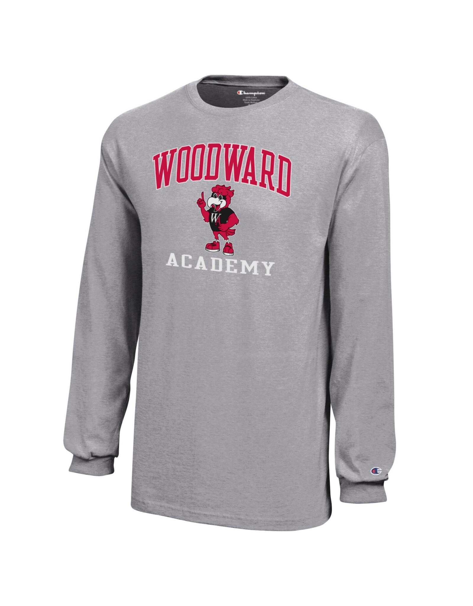 SALE Youth LS Eddie Eagle