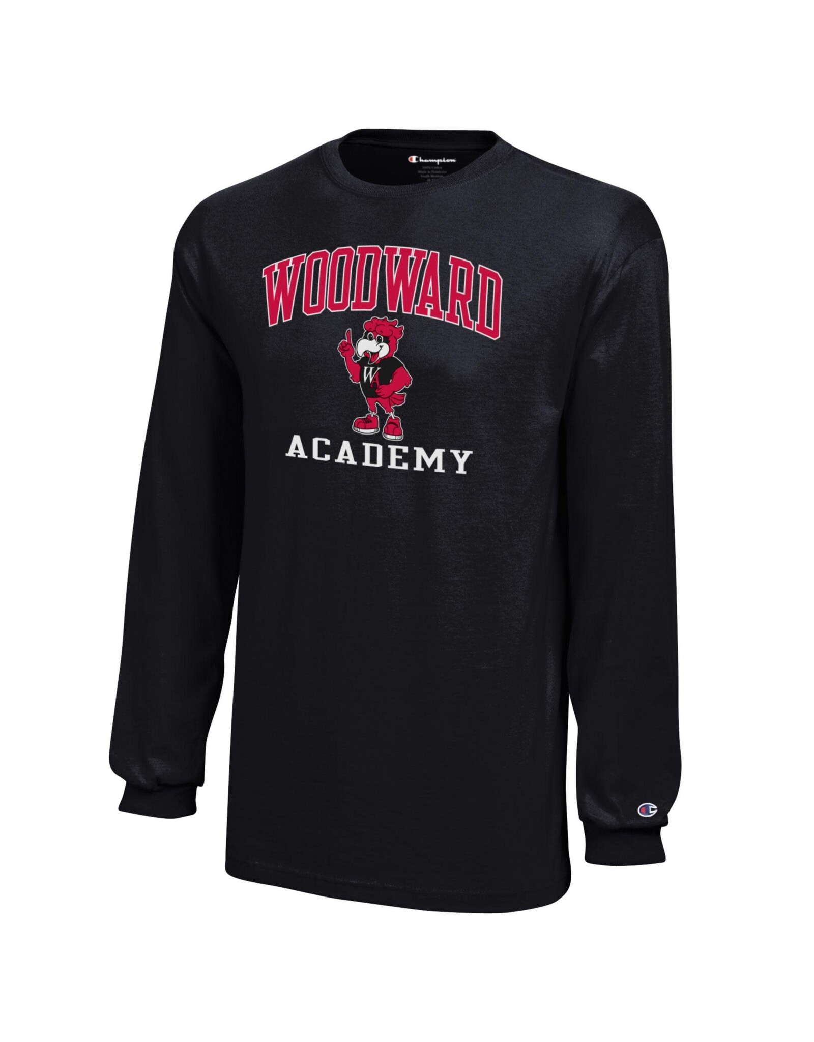 SALE Youth LS Eddie Eagle