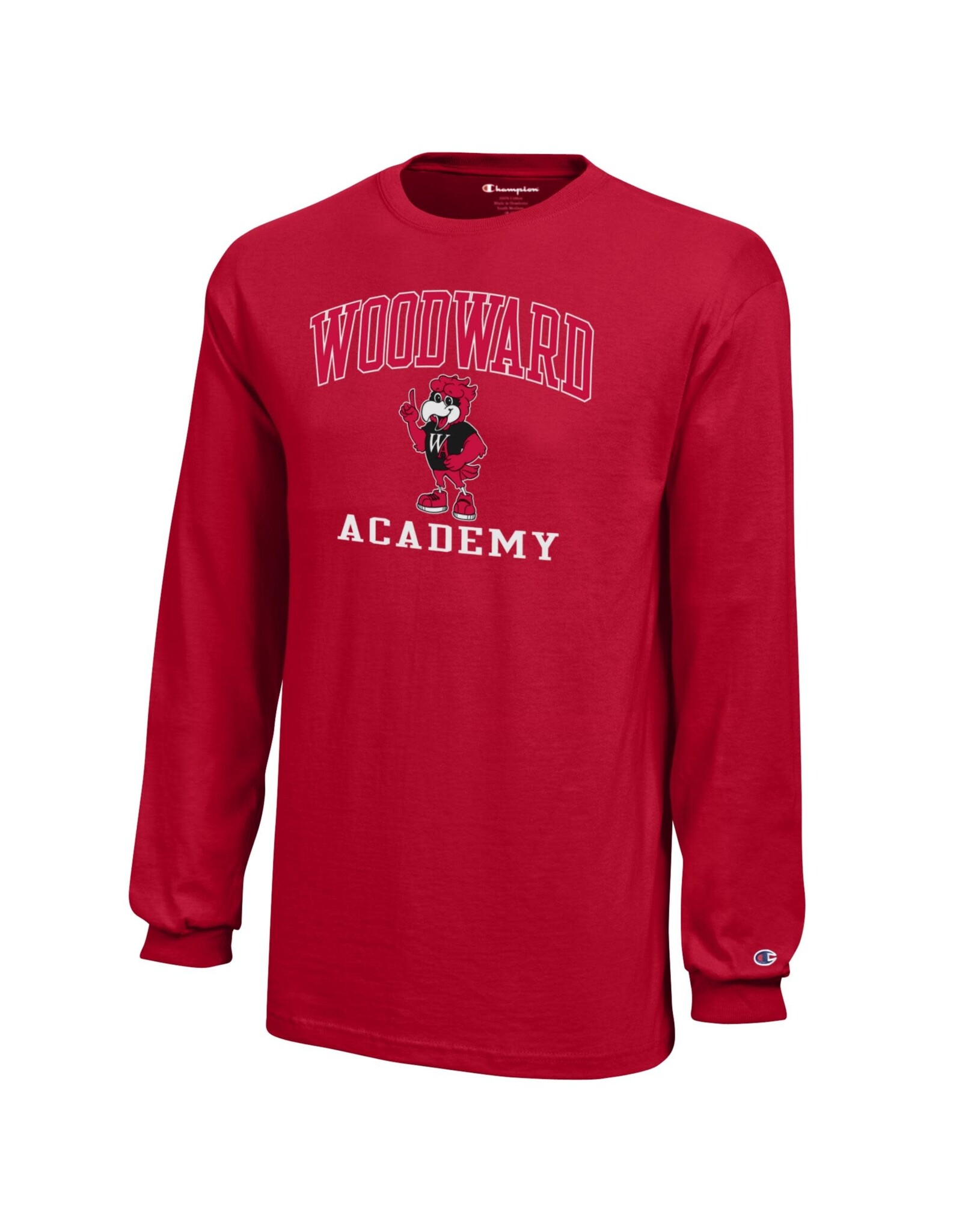 SALE Youth LS Eddie Eagle