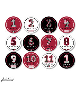 Jardine Sticker- Baby Milestone