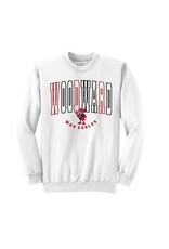 CI Sport Youth Sweatshirt Flicker