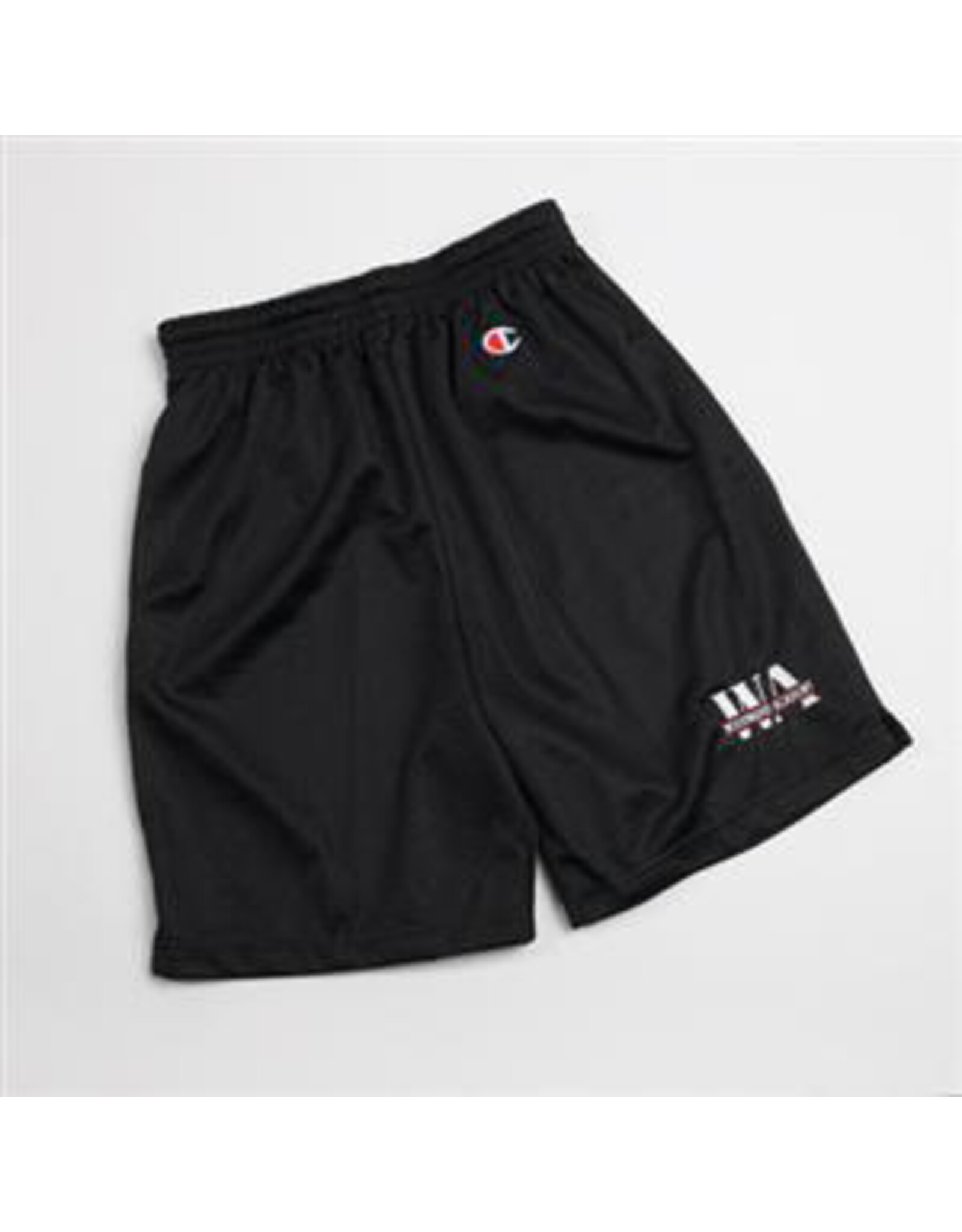 Champion Men's Shorts Mesh