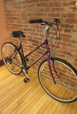 schwinn searcher gs