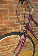 schwinn searcher gs