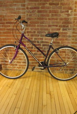 schwinn searcher gs