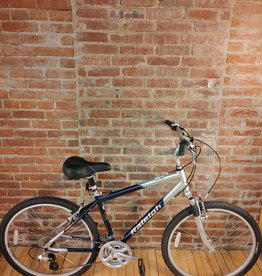 Bike : Raleigh SC40 : 18"