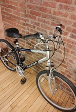 Bike : Raleigh SC40 : 18"