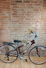 Schwinn Bike : Schwinn Voyageur GS : 16"