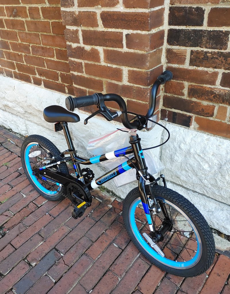 Bike : Guardian : K16"