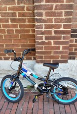 Bike : Guardian : K16"