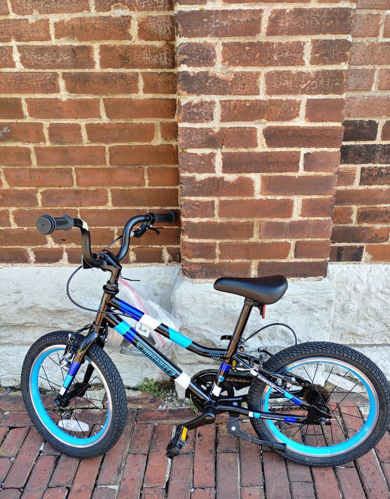 Bike : Guardian : K16"