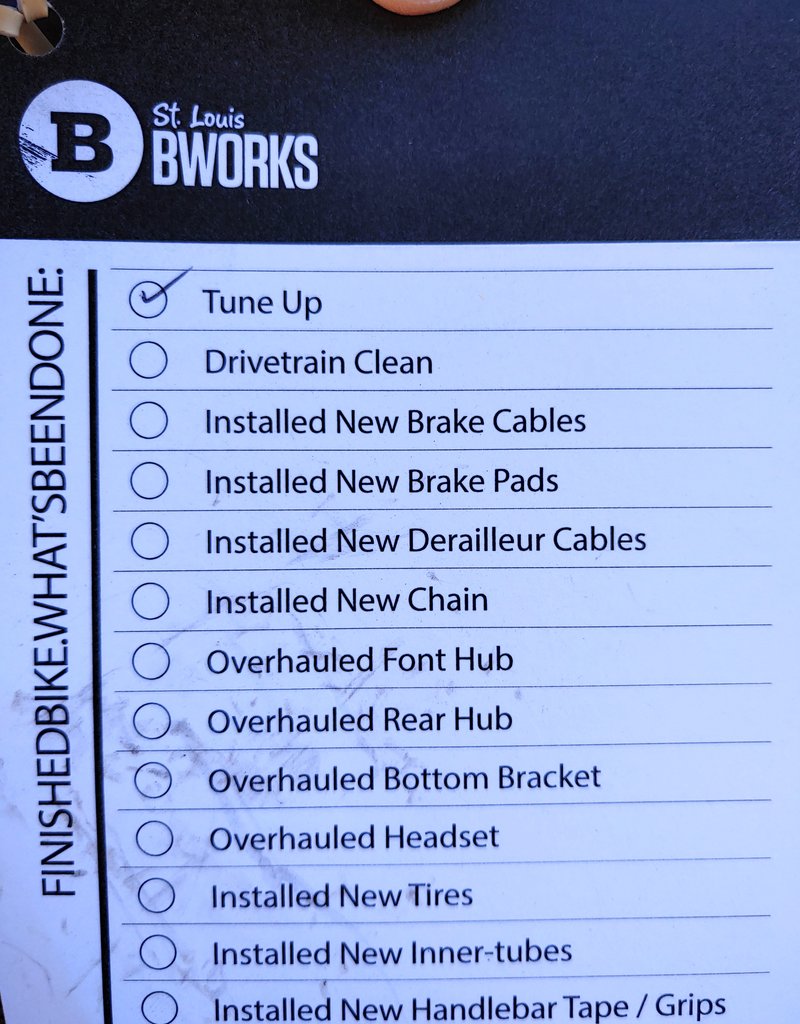 Bike : Guardian : K16"