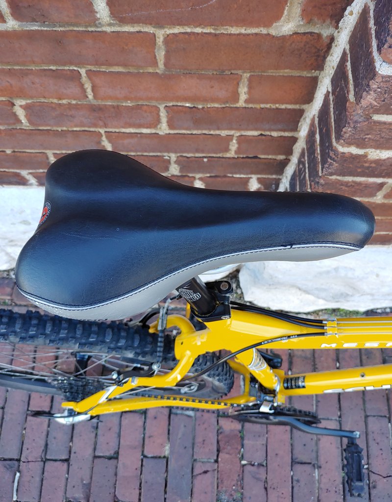 Schwinn Bike : Schwinn Mesa : 20"