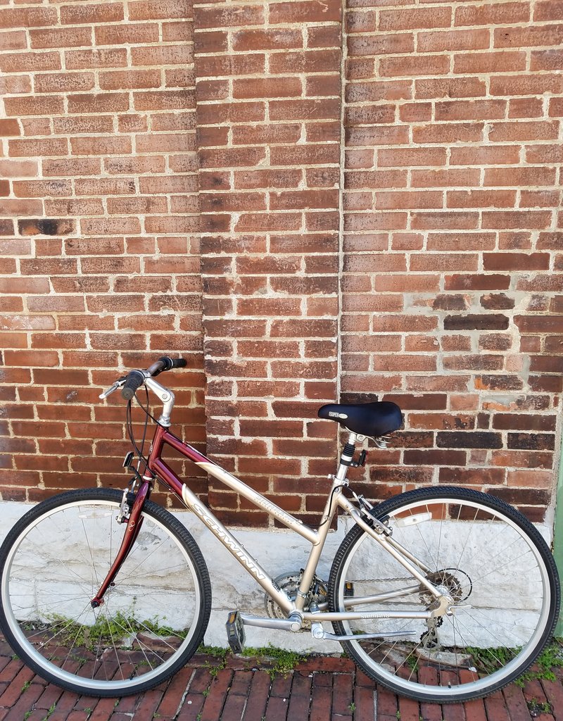 Schwinn Schwinn Sierra 700: 18"L