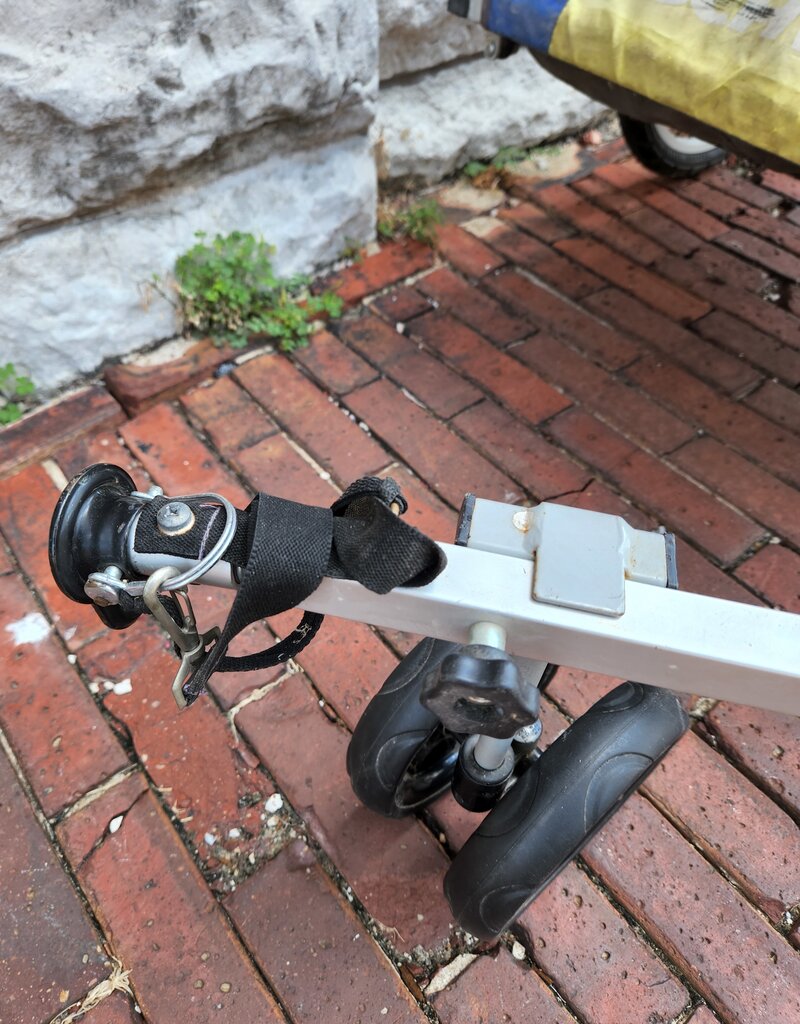 Trailer : Schwinn Kid : 20" wheel