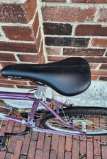 Diamond Back Bike : DiamondBack Topanga : 20.5"