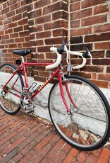 Raleigh Bike : Raleigh Marathon : 45cm proportional