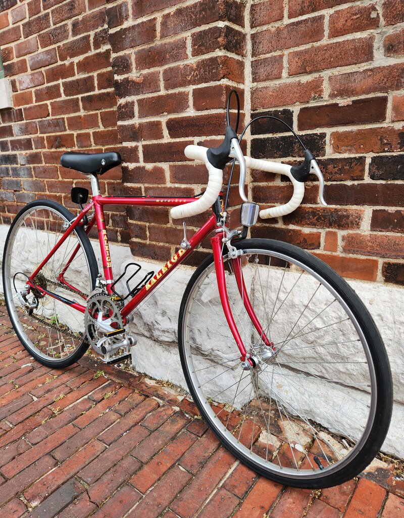 Raleigh Bike : Raleigh Marathon : 45cm proportional