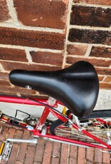 Raleigh Bike : Raleigh Marathon : 45cm proportional
