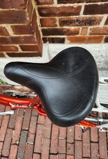 Electra Bike : Electra Townie 21D : 16"