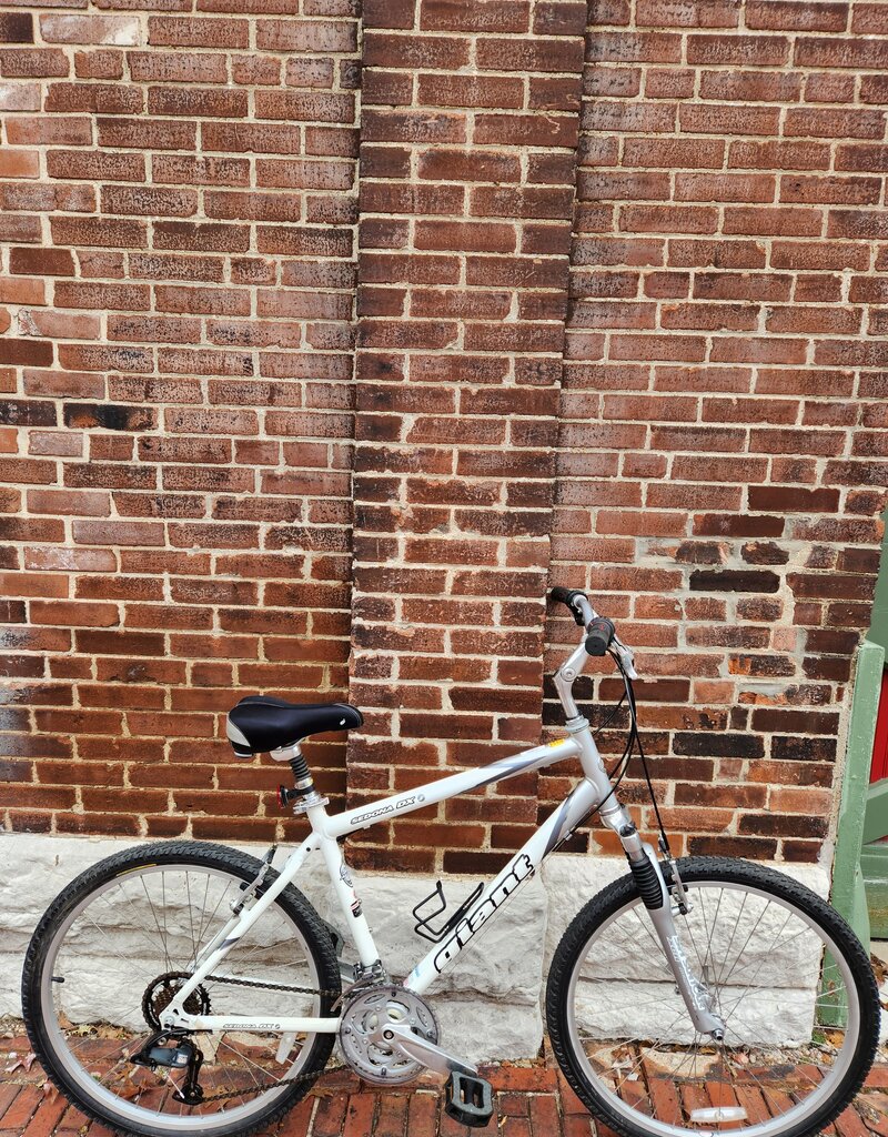 Giant Bike : Giant Sedona DX : 19"