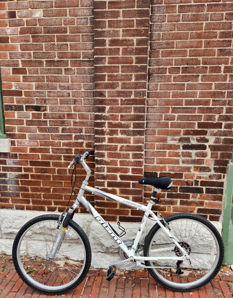 Giant Bike : Giant Sedona DX : 19"