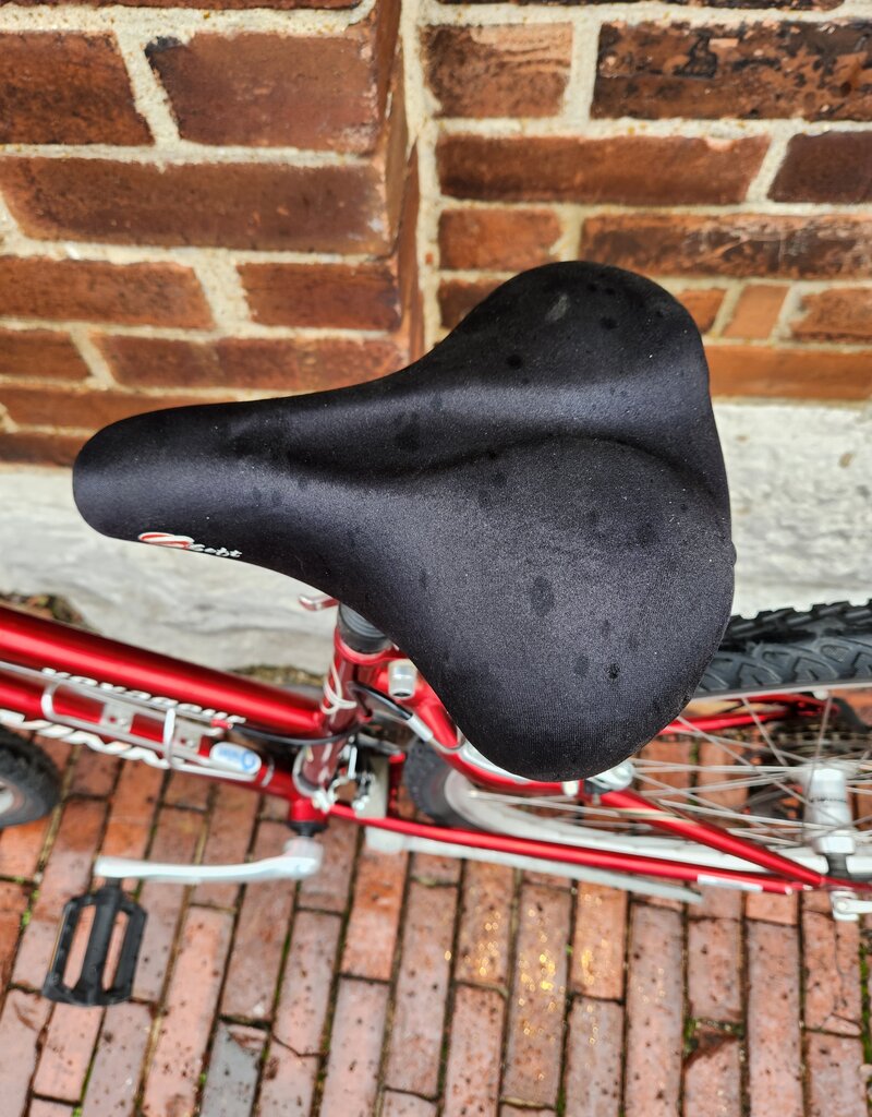 Schwinn Bike : Schwinn Voyageur : 15"