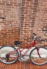 Schwinn Bike : Schwinn Voyageur : 15"