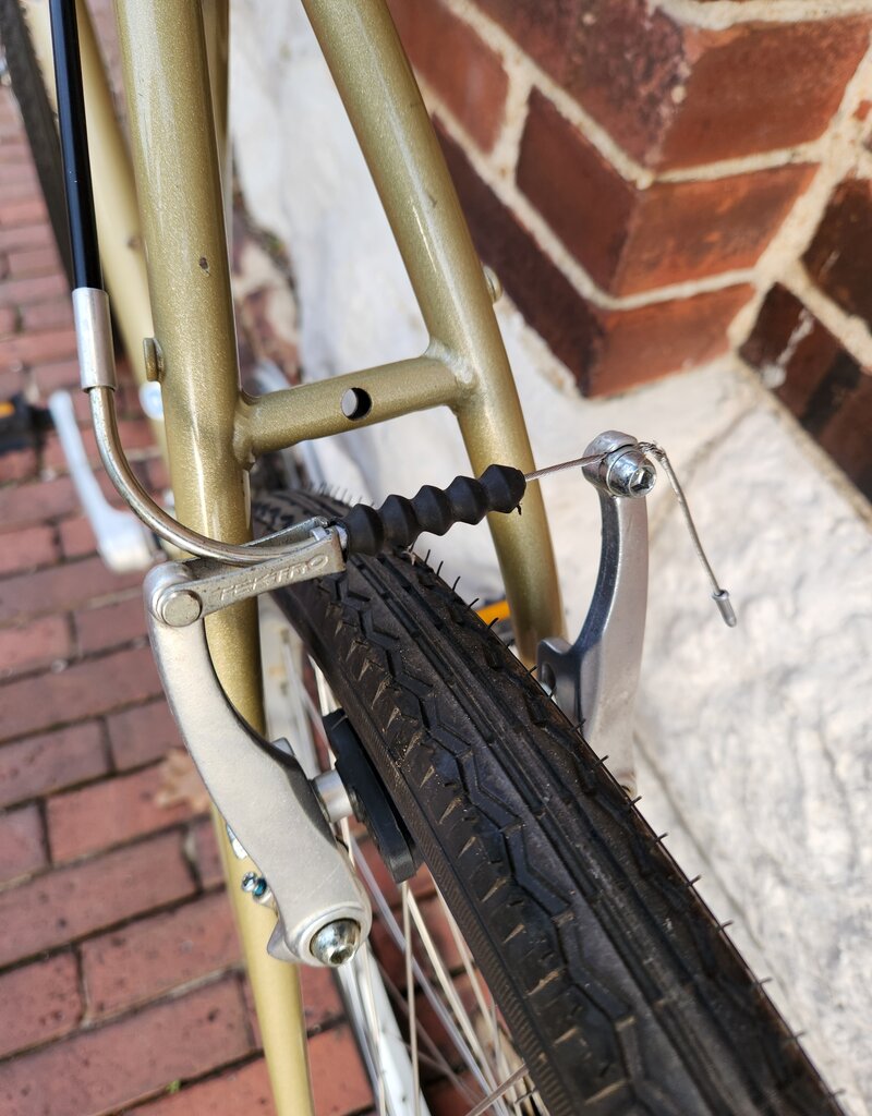 Diamond Back Bike : DiamondBack Wildwood Deluxe : 21.5"