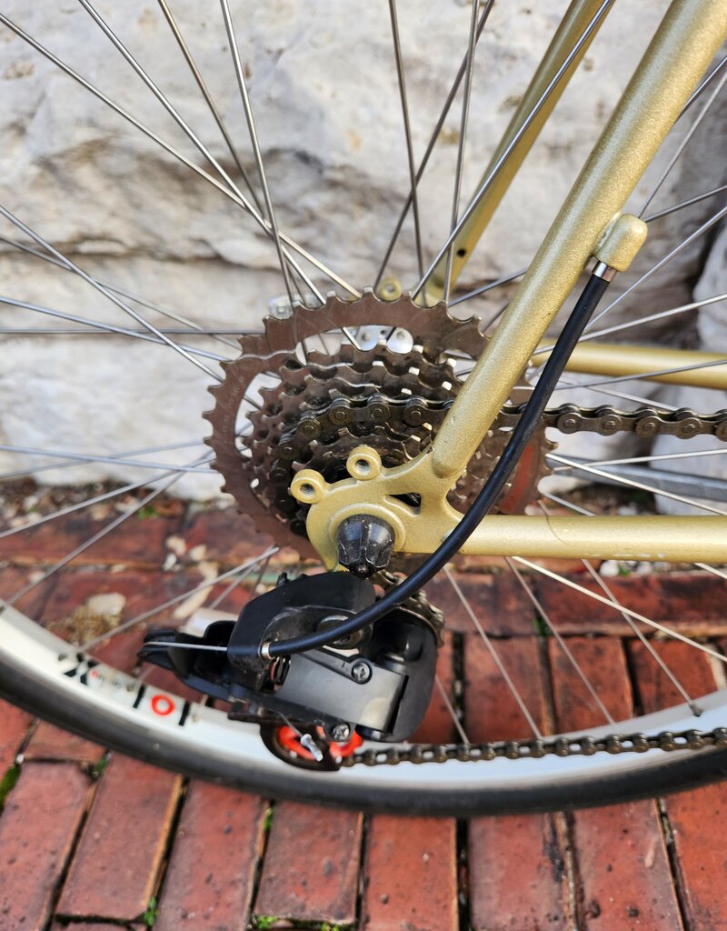 Diamond Back Bike : DiamondBack Wildwood Deluxe : 21.5"