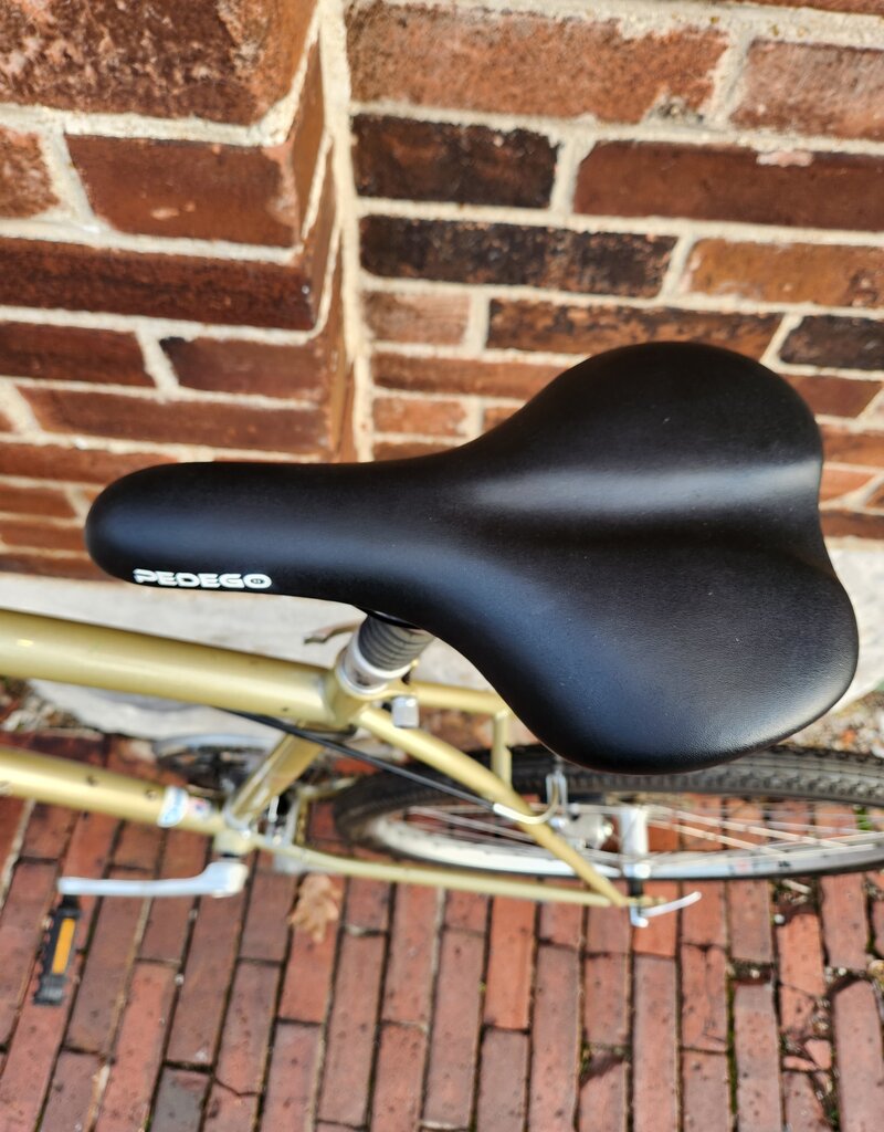 Diamond Back Bike : DiamondBack Wildwood Deluxe : 21.5"