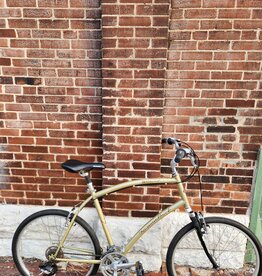 Diamond Back Bike : DiamondBack Wildwood Deluxe : 21.5"