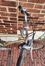 Diamond Back Bike : DiamondBack Wildwood Deluxe : 21.5"