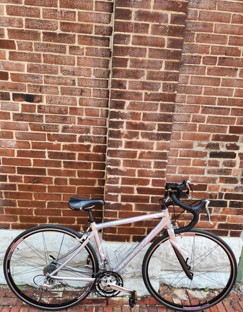 Giant Bike : Giant OCR : 51cm