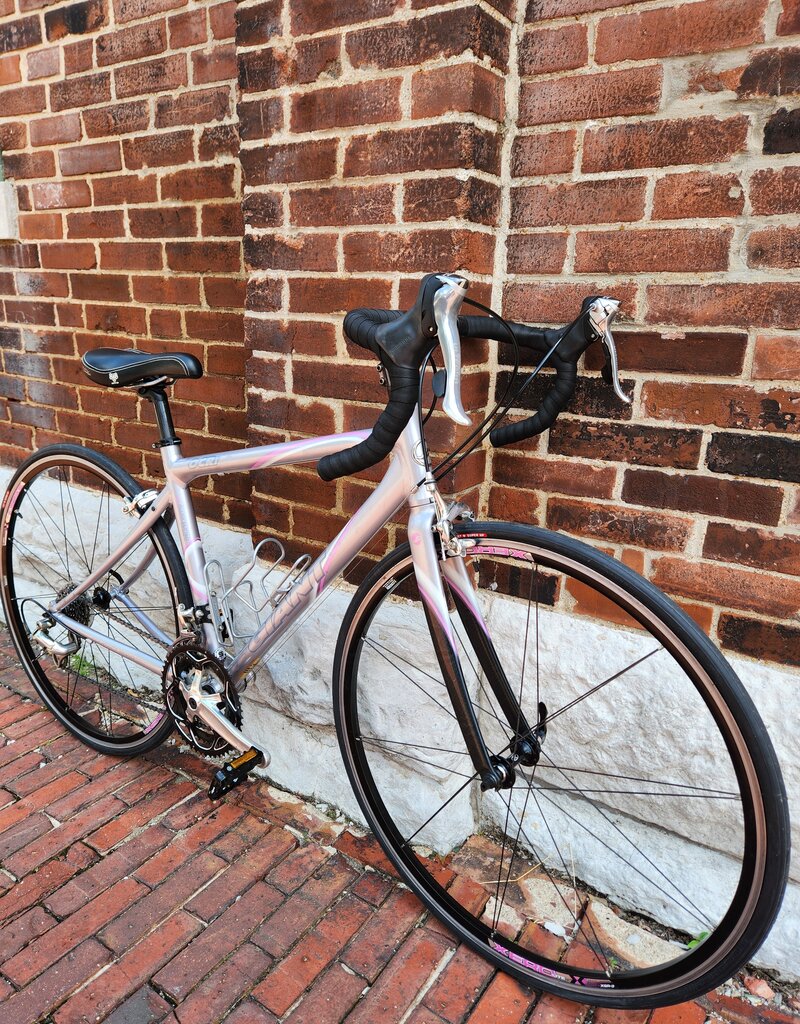 Giant Bike : Giant OCR : 51cm