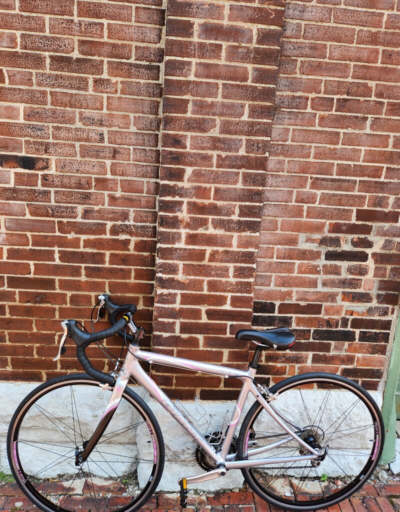 Giant Bike : Giant OCR : 51cm