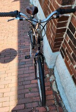 Trek Bike : Trek Navigator 300 : 16.5"