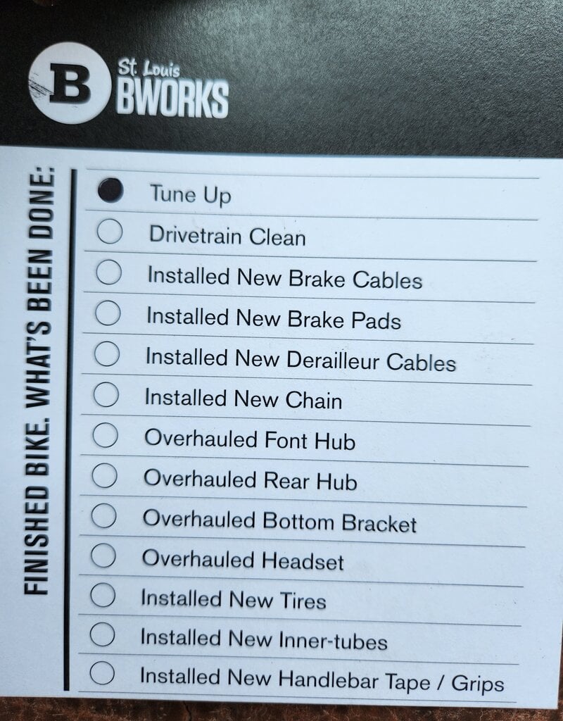 Trek Bike : Trek Verve 3 : 17.5"