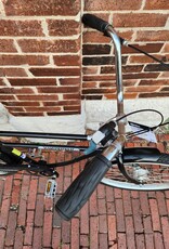 Bike : Worksman Urban Comp : 18.5"